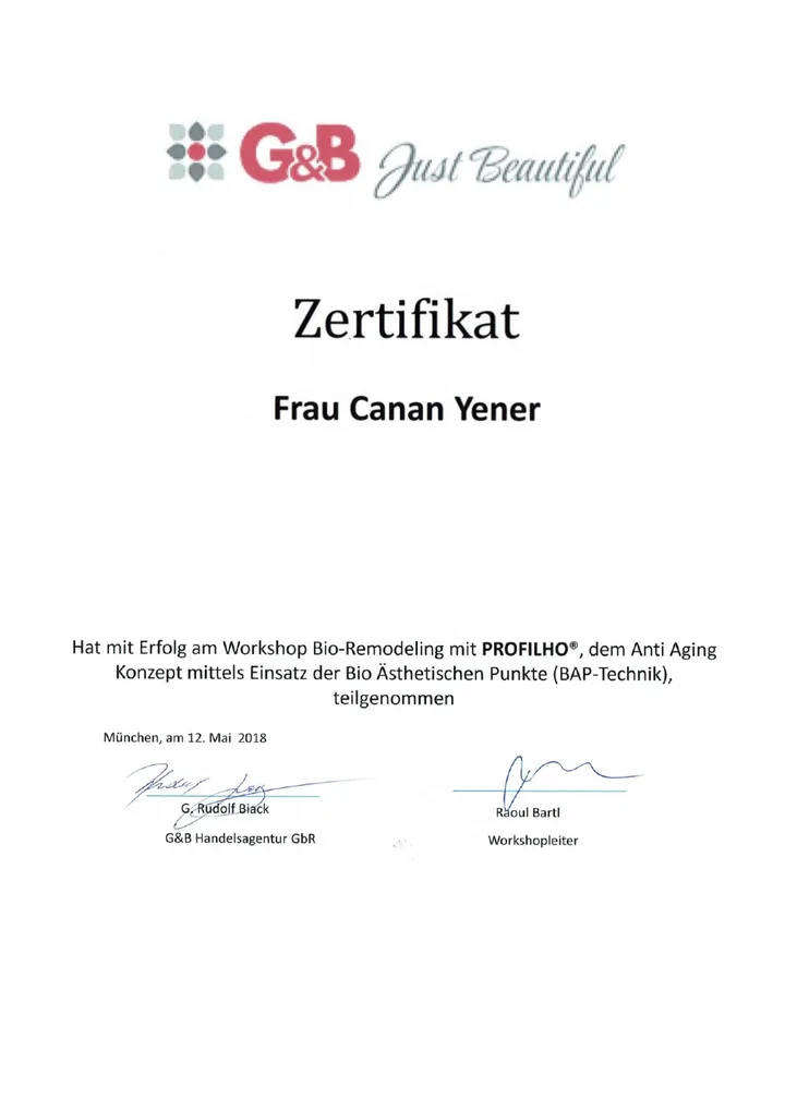 Zertifikat über den PROFHILO Workshop zur BAP-Technik von Canan Yener